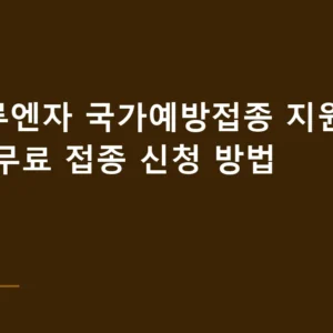 인플루엔자 국가예방접종 지원 대상별 무료 접종 신청 방법
